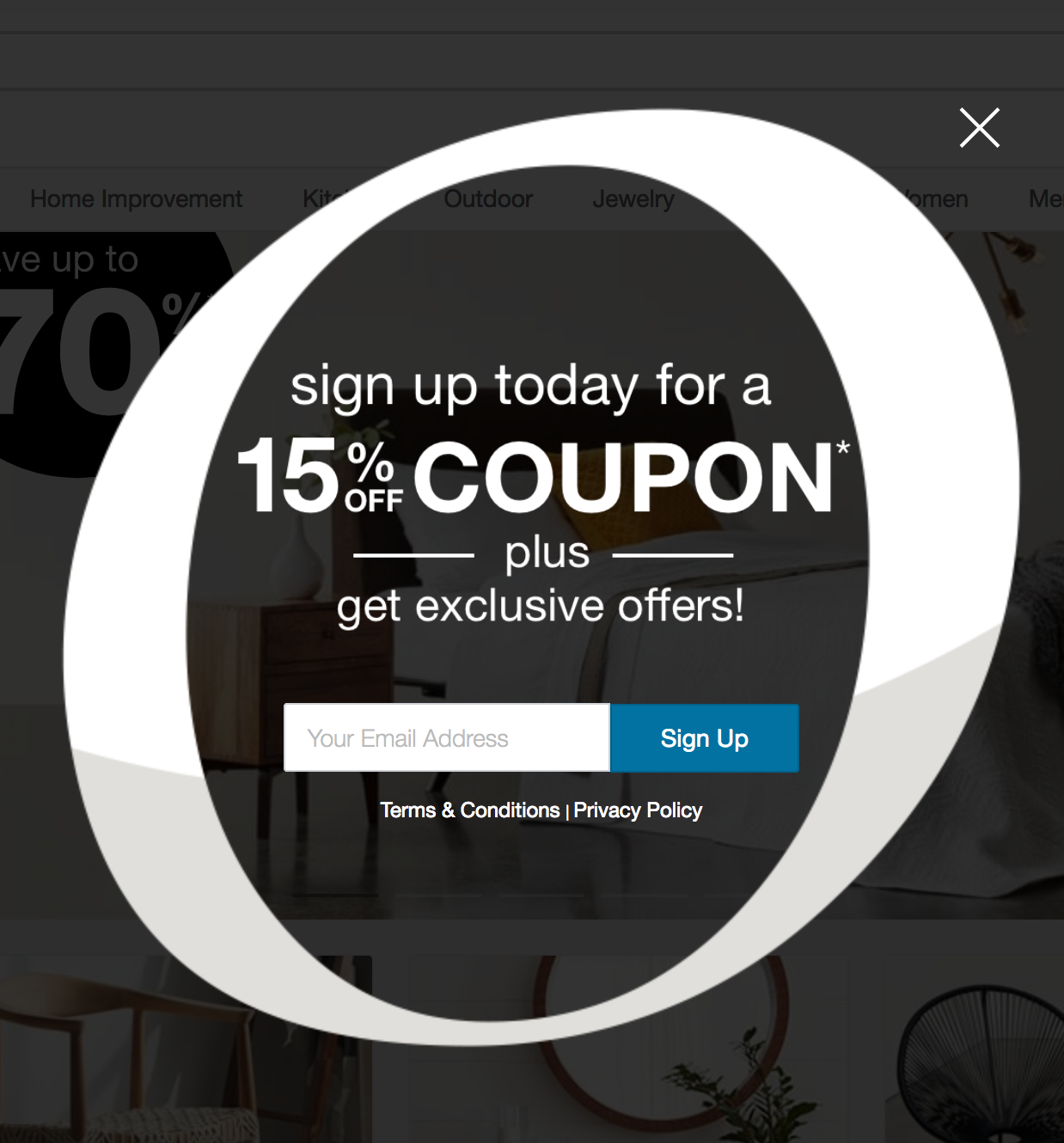 Pop-up modal coupon.