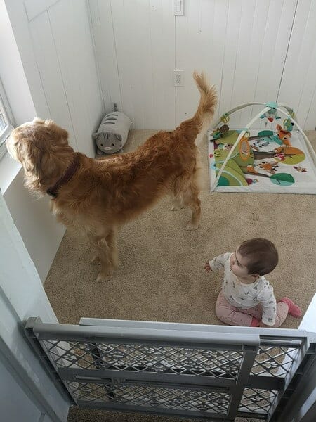 Francois Xavier child and toddler