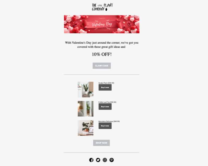 Marsello Holiday Email – The Little Plant Company One-off Campaign