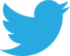 twitter brand logo