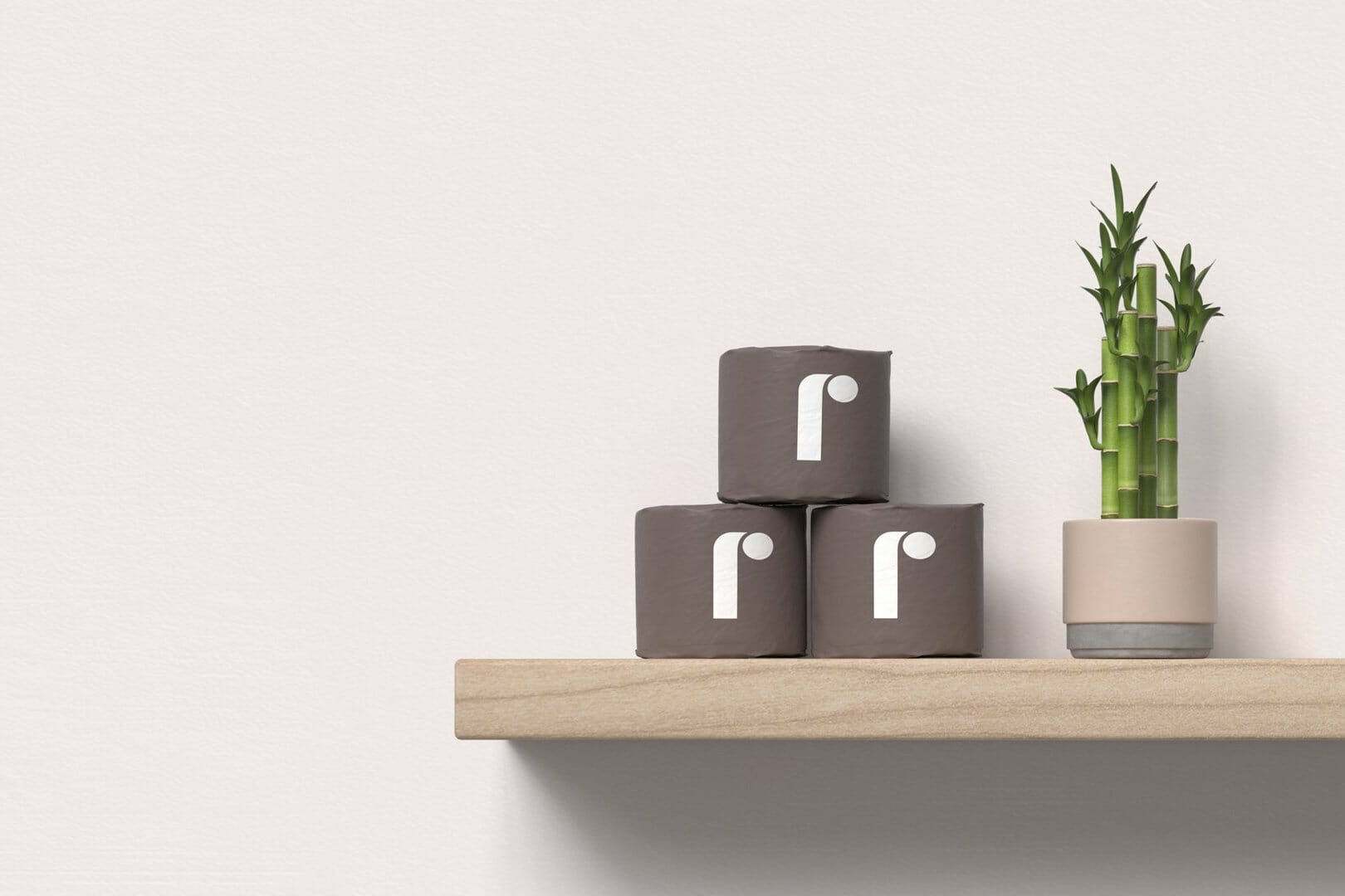 Reel toilet paper rolls sit on a shelf beside a bamboo plant