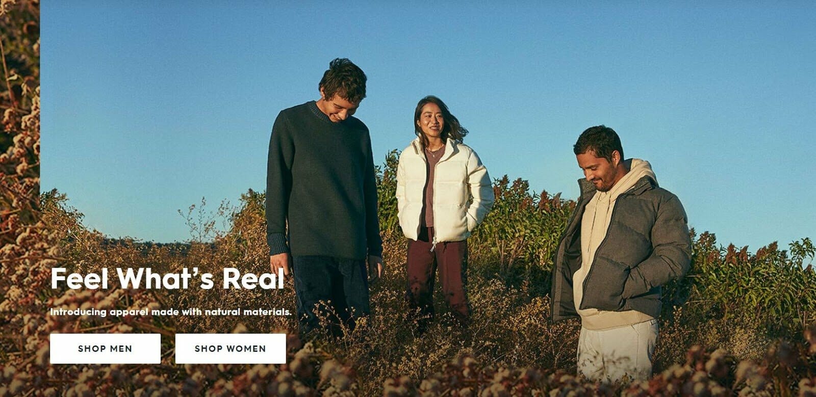 Allbirds ecommerce website design