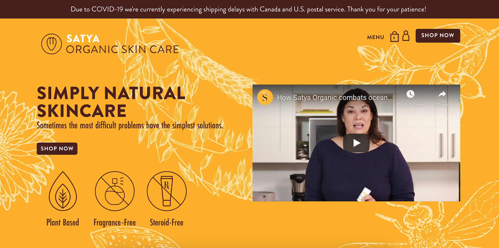 Satya organic skincare website