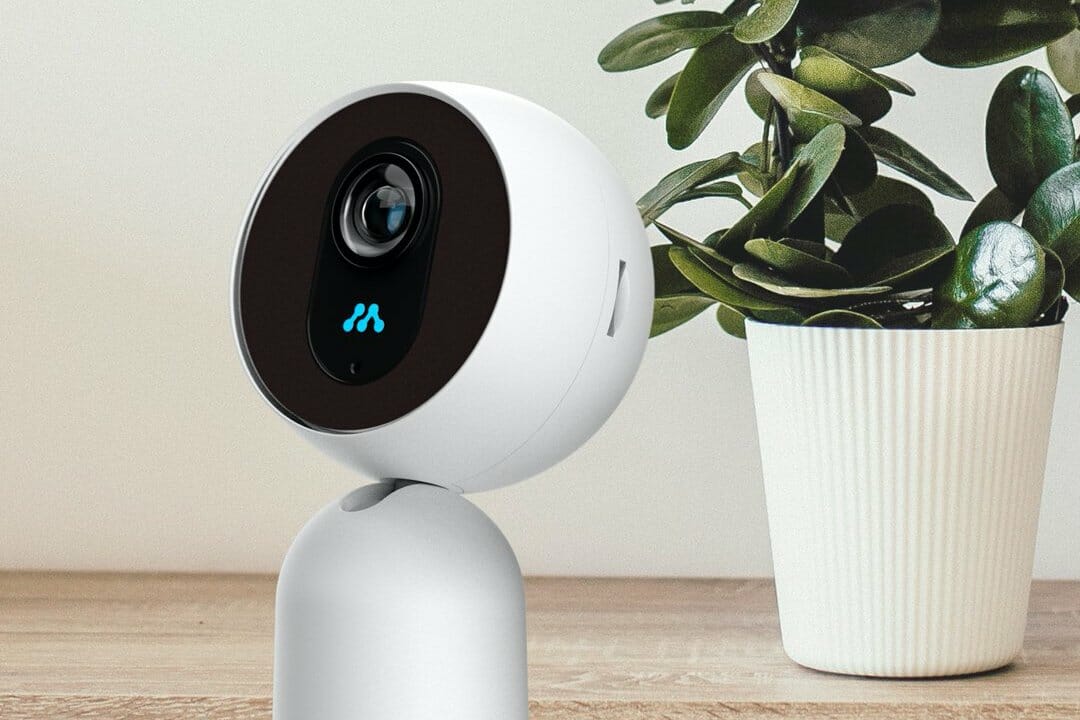 A home security camera sitting in front of a house plant