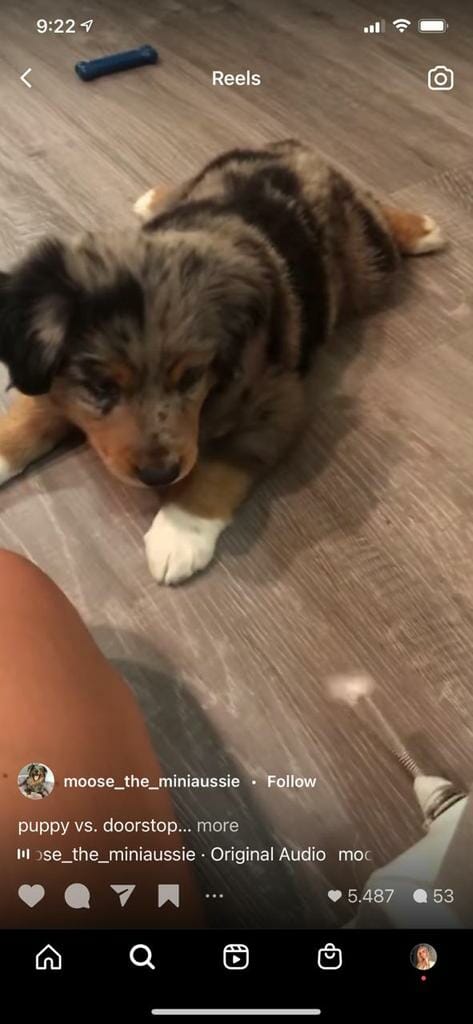 Instagram Reels Example