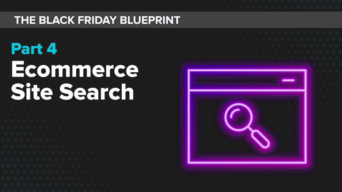 ecommerce-site-search