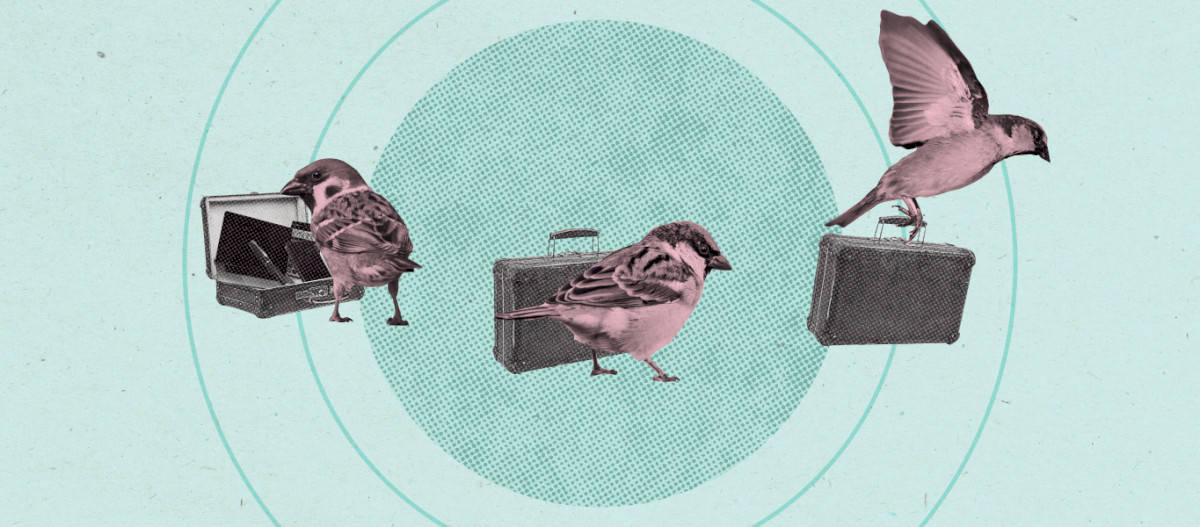 3-steps-to-a-seamless-migration