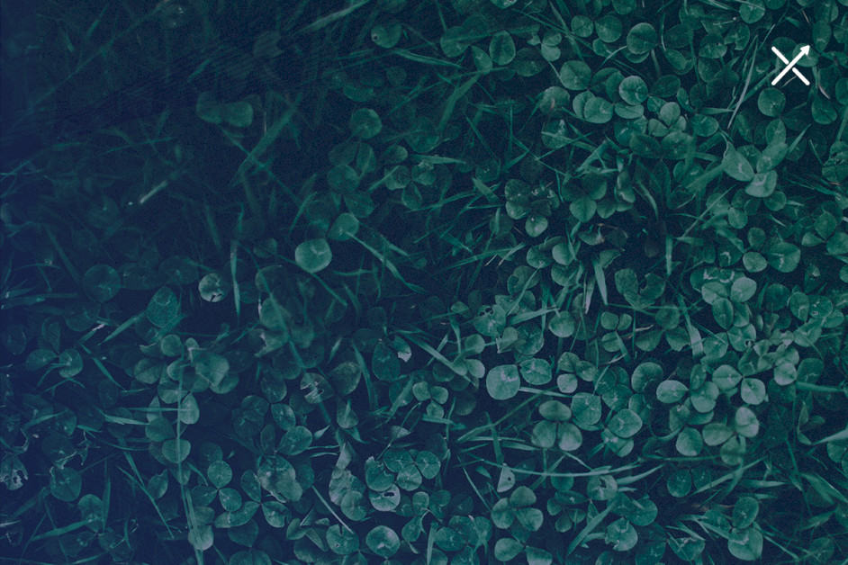 earth-day-2023:-how-dtc-brands-can-turn-sustainability-into-success