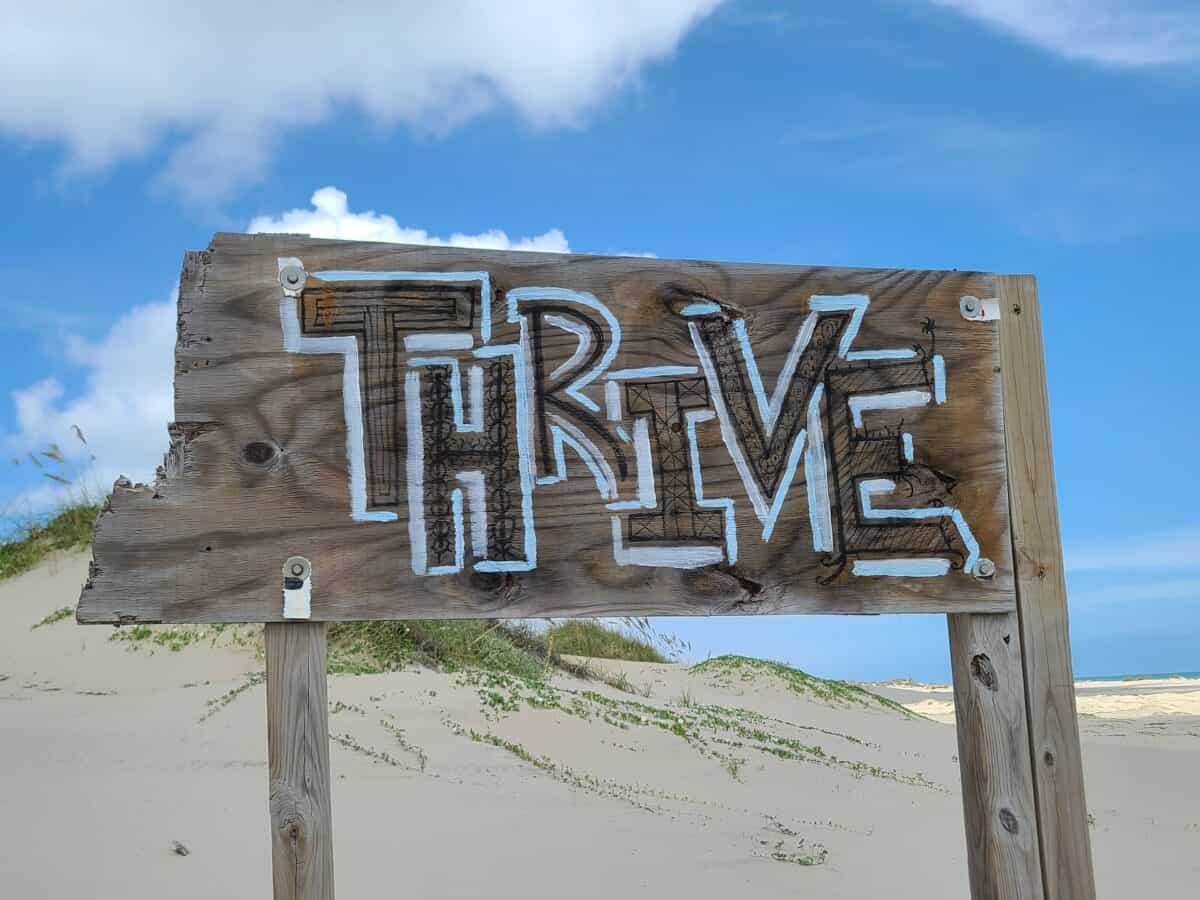 A wooden sign that says "thrive" stands out in front of a sand dune.