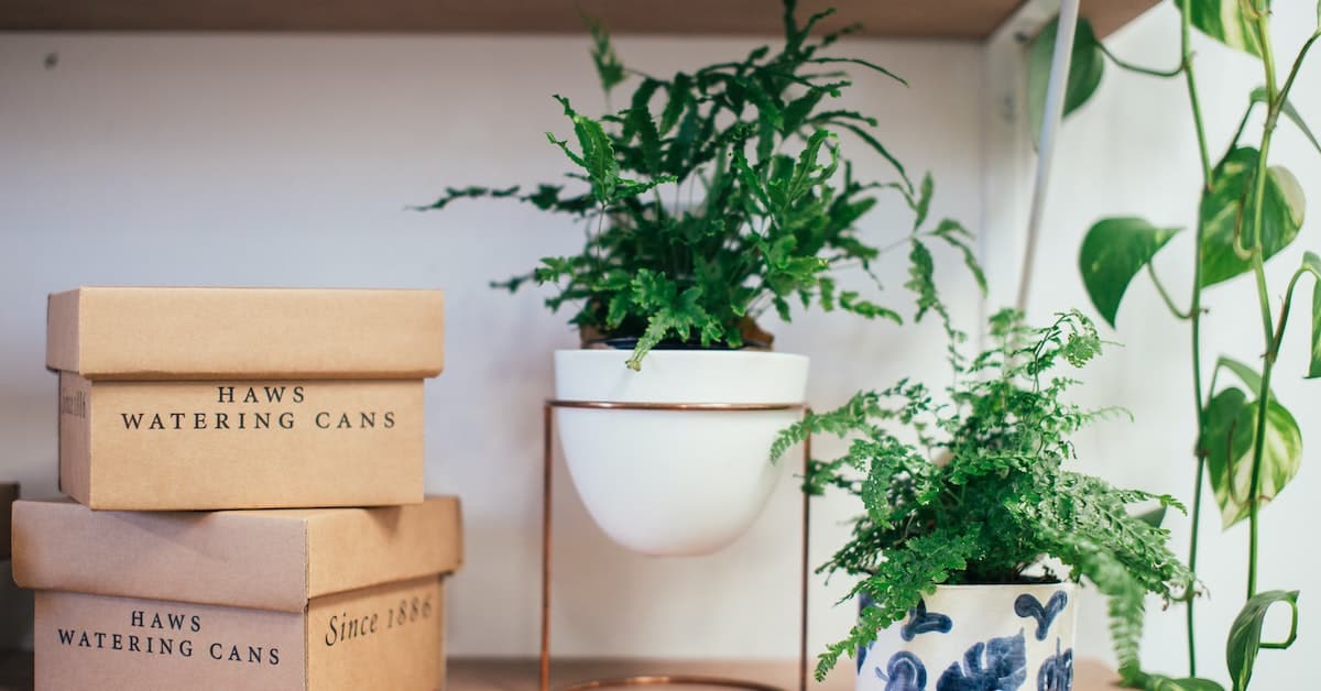 Two eco-friendly boxes with plants on a shelf.