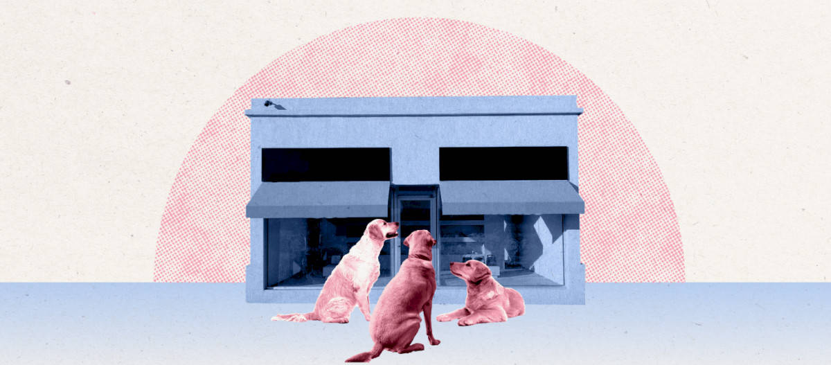 beyond-discounts:-creative-strategies-to-increase-customer-loyalty-in-ecommerce