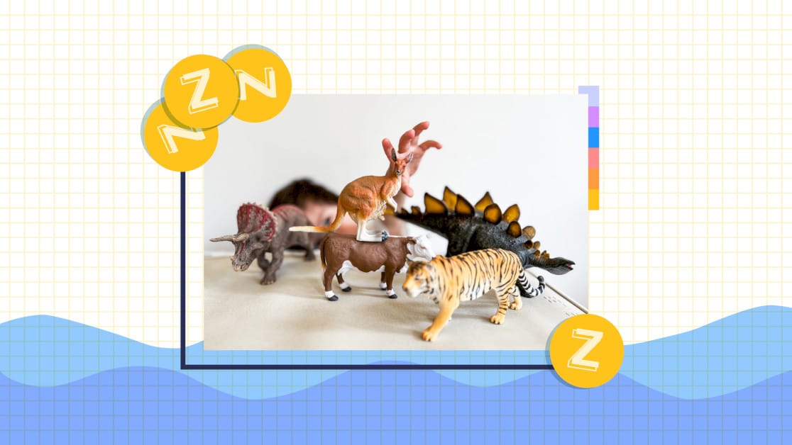 big-success-and-brand-loyalty-with-minizoo