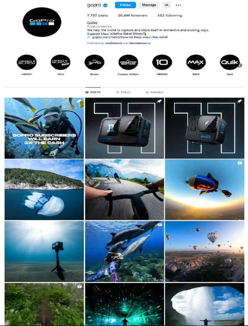 Hashtag Examples Multimedia 10 Brilliant Content Marketing Examples On Social Media | Ecommerce ...