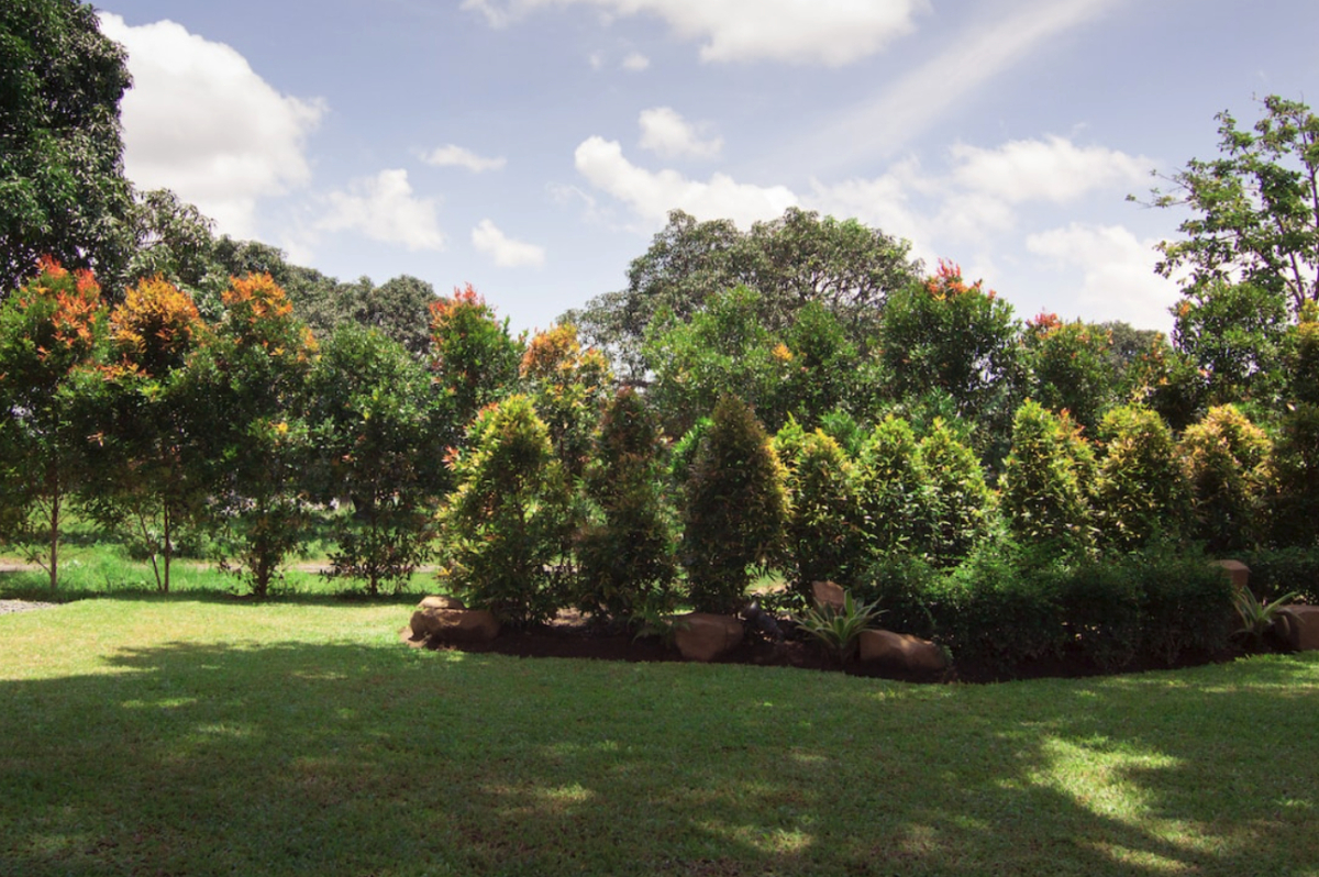A well-maintained garden with a row of green and orange-tinted bushes against a backdrop of trees under a partly cloudy sky showcases the potential for anyone starting a landscaping business.