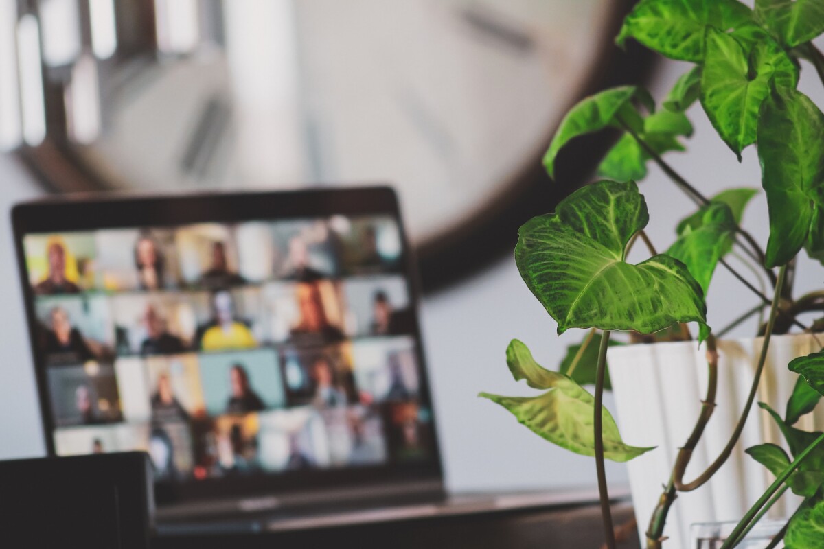 A laptop is displaying a video conference with multiple participants discussing talent retention, while a green plant partially blocks the view. A blurred clock is in the background.