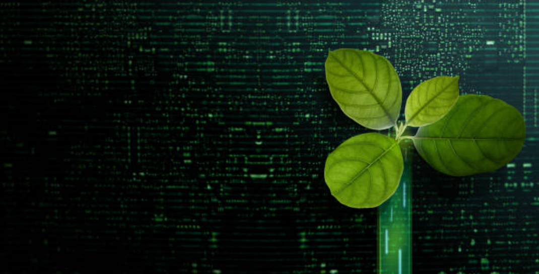 A plant with green leaves grows in a test tube against a background of green digital code, subtly highlighting the fusion of nature and technology amidst pressing environmental concerns.
