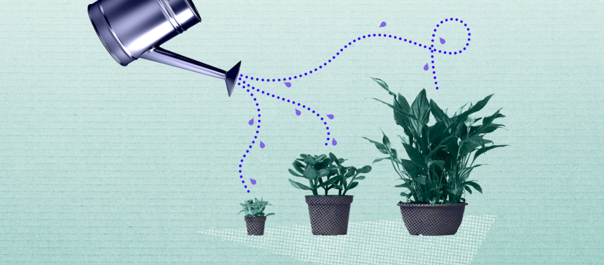 how-to-build-a-strong-ecommerce-growth-strategy