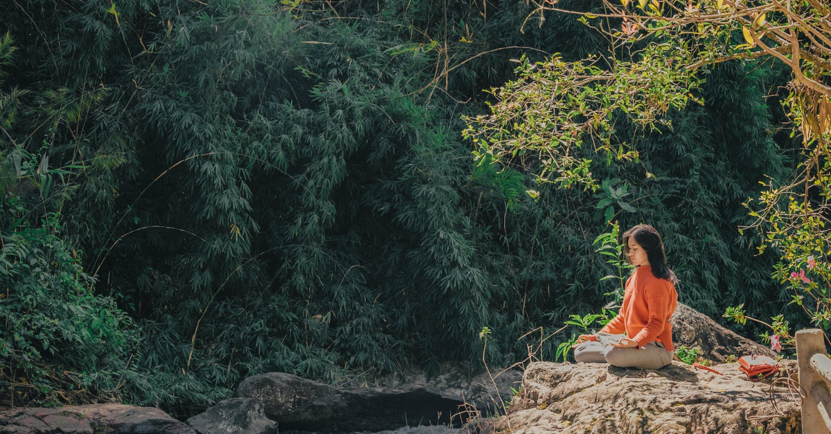A person sits cross-legged on a rock, meditating in a forest. Bright sunlight filters through the trees, illuminating the scene—a moment of peace far from the hustle of ecommerce and DTC ventures.