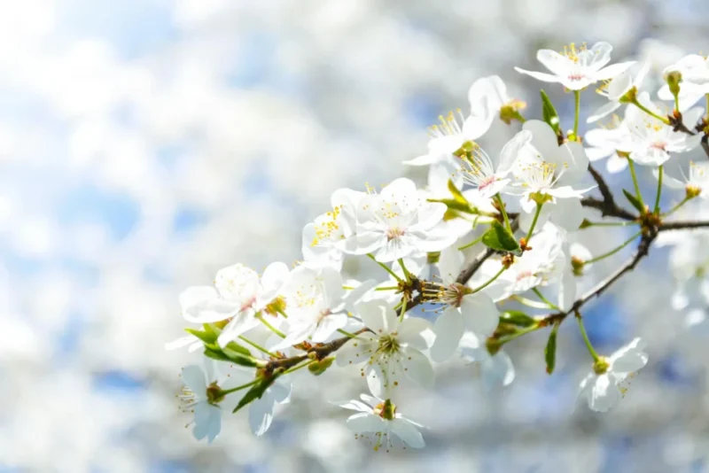 spring-2024-merchandising-ideas