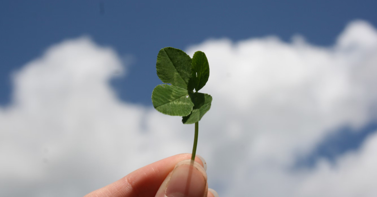 A hand holds a four-leaf clover against a blue sky with white clouds, symbolizing the luck and success one might find when launching an ecommerce journey on platforms like Shopify.