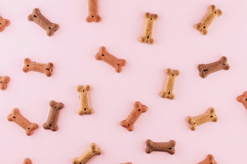 rewards-case-study:-petsmart-treats-rewards-(+how-to-recreate-ther-program)