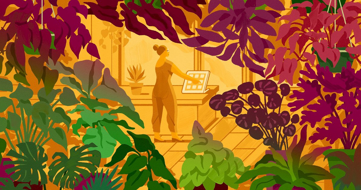 the-ultimate-guide-to-selling-plants-online