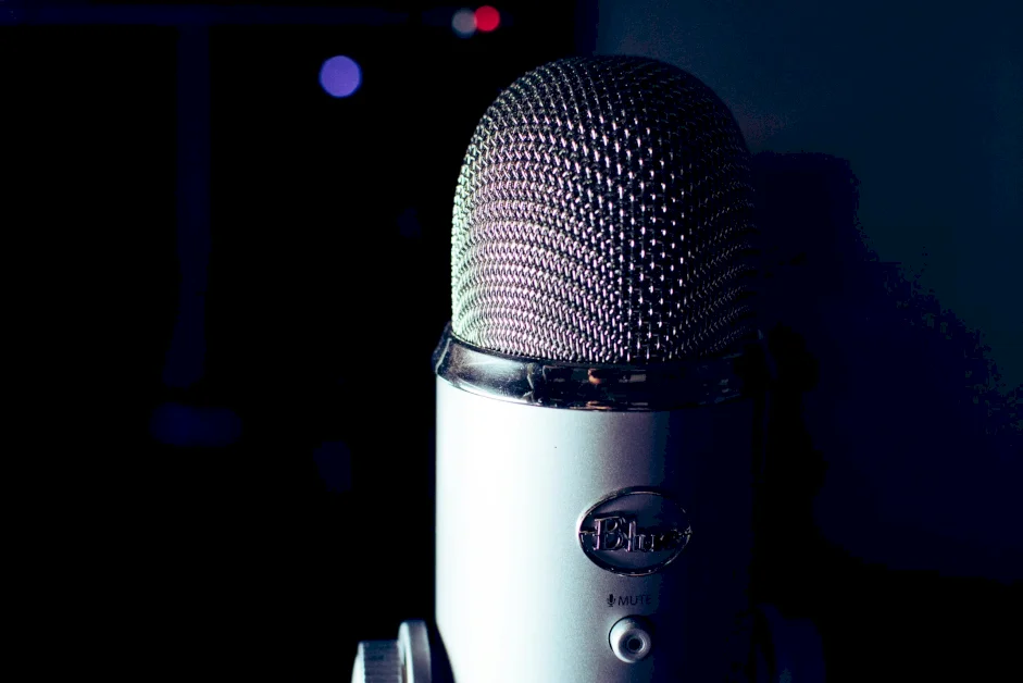 the-rise-of-voice-search