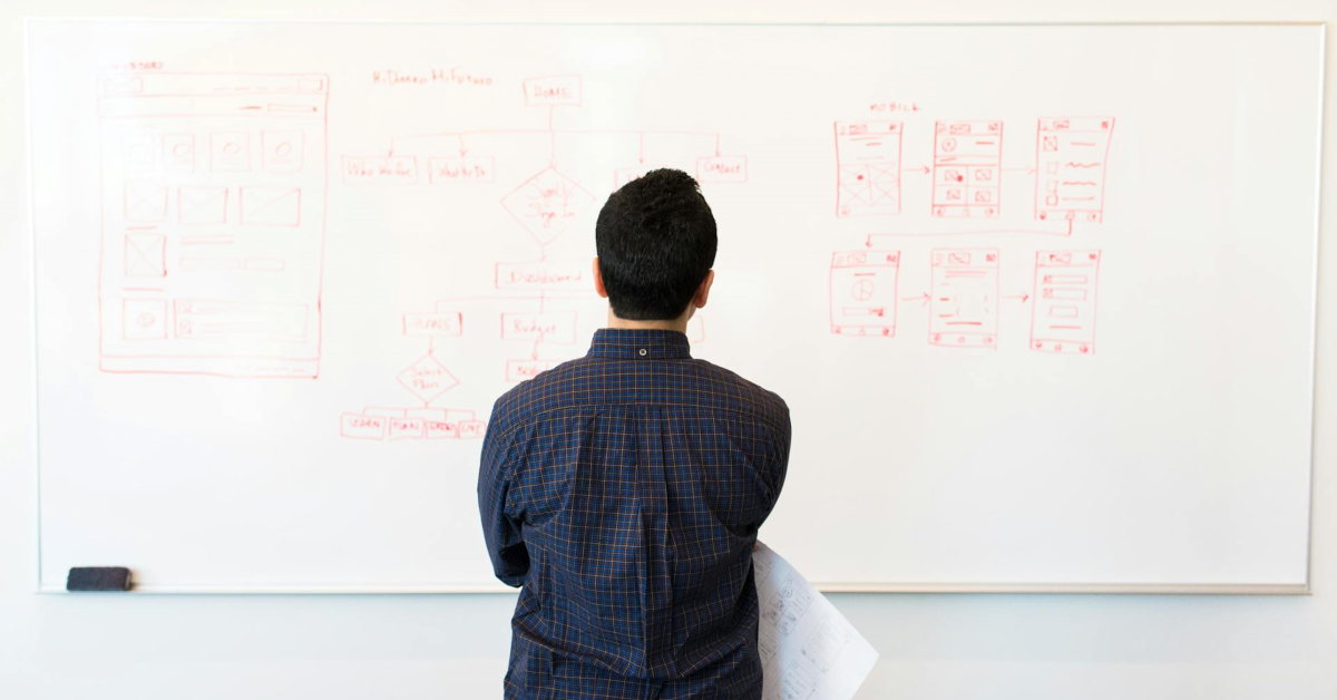 A person stands facing a whiteboard covered with red marker diagrams and charts, holding a sheet of paper, as they review Quality Assurance System protocols, with their back to the camera.