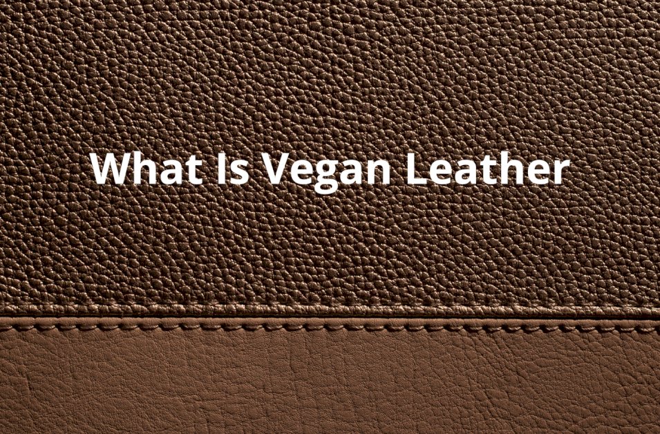 what-is-vegan-leather?-a-complete-guide