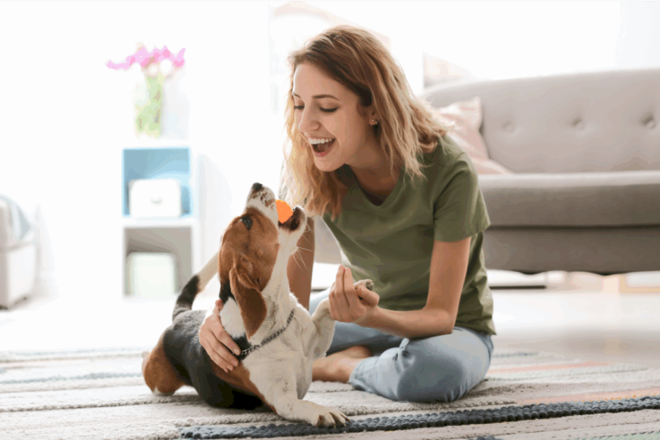 54-best-dog-gifts:-find-something-for-every-pup-and-pet-parent