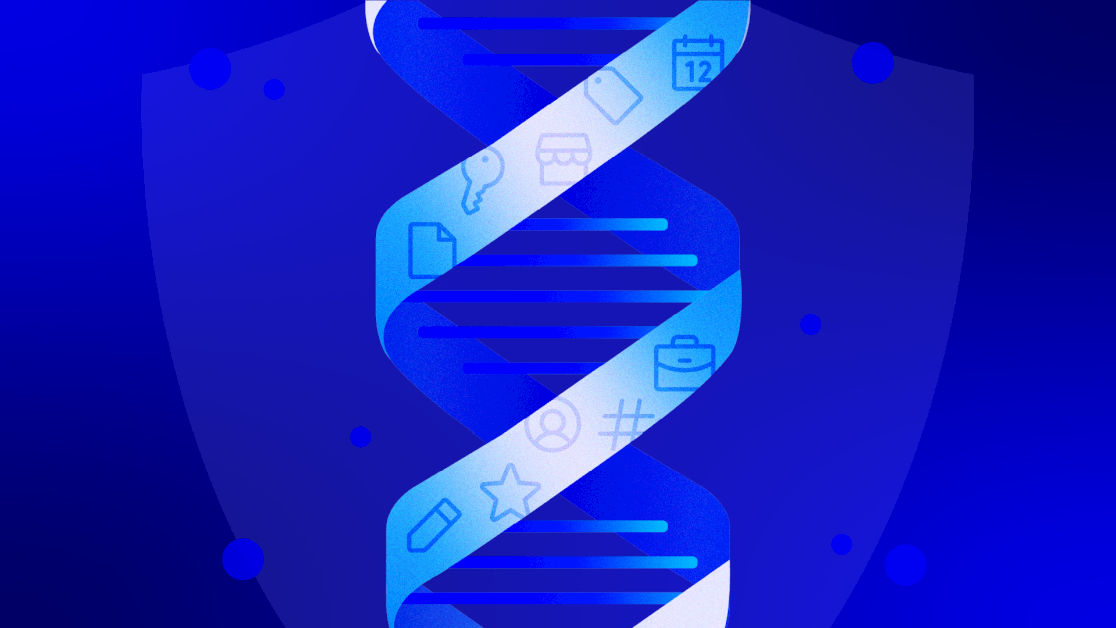 back-up-shopify-metaobjects-with-rewind