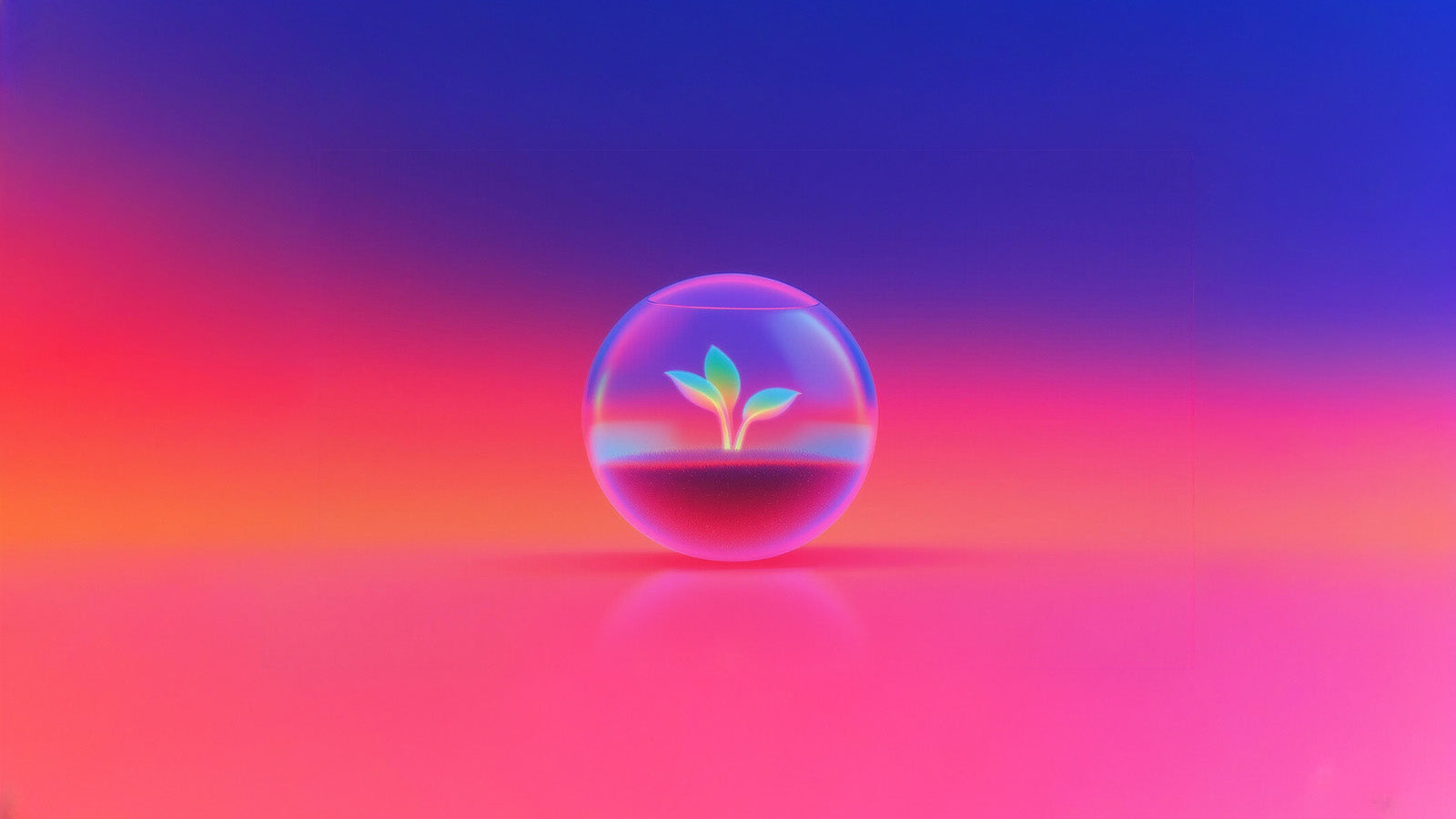 How to Start a Terrarium Business in 2026: A Step-by-Step Guide