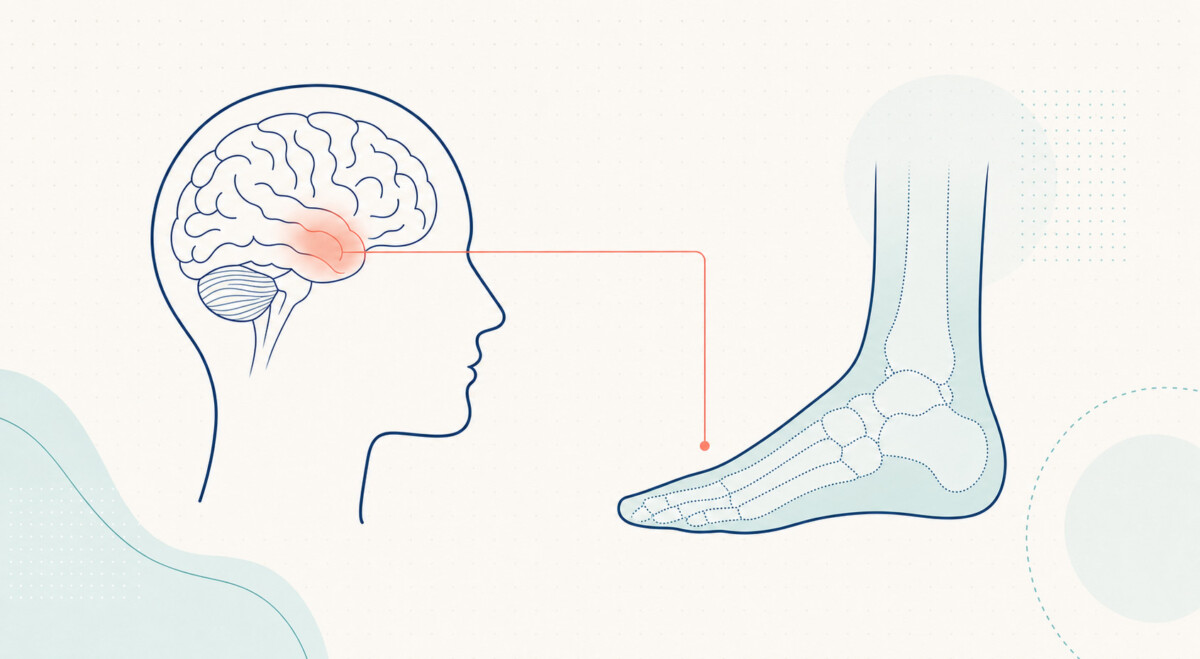 What Is a Foot Fetish? The Complete 2026 Explainer